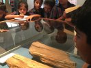 Field Trip class 5 -2017